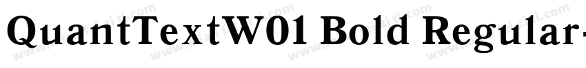 QuantTextW01 Bold Regular字体转换